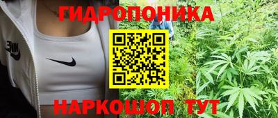 прущие грибы Малоярославец