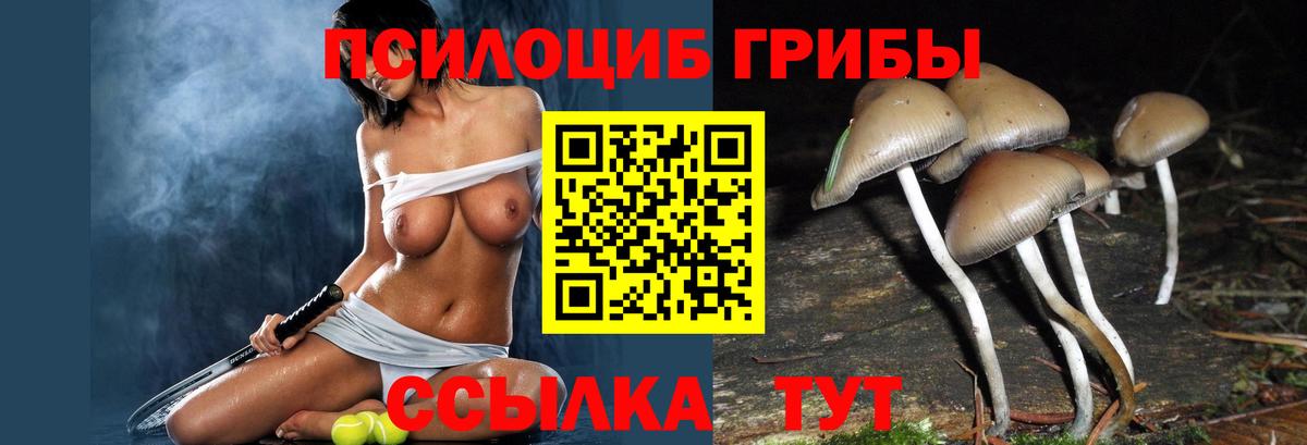 Галлюциногенные грибы MAGIC MUSHROOMS Владивосток